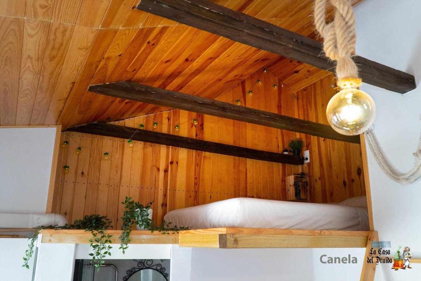 La Casa Del Druida Appartement